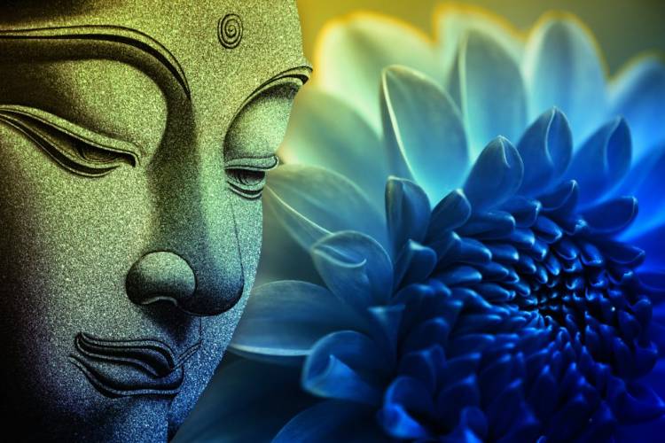 Trí huệ và trí tuệ dưới cái nhìn Phật Giáo